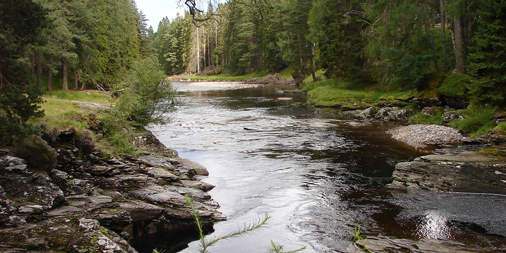 Image 18